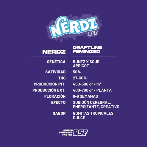 FEM - NERDZ X7 UNIDADES