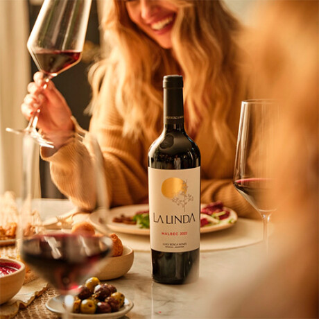 Vino Tinto Finca la Linda Cabernet Sauvignon 2022 750 Ml 001