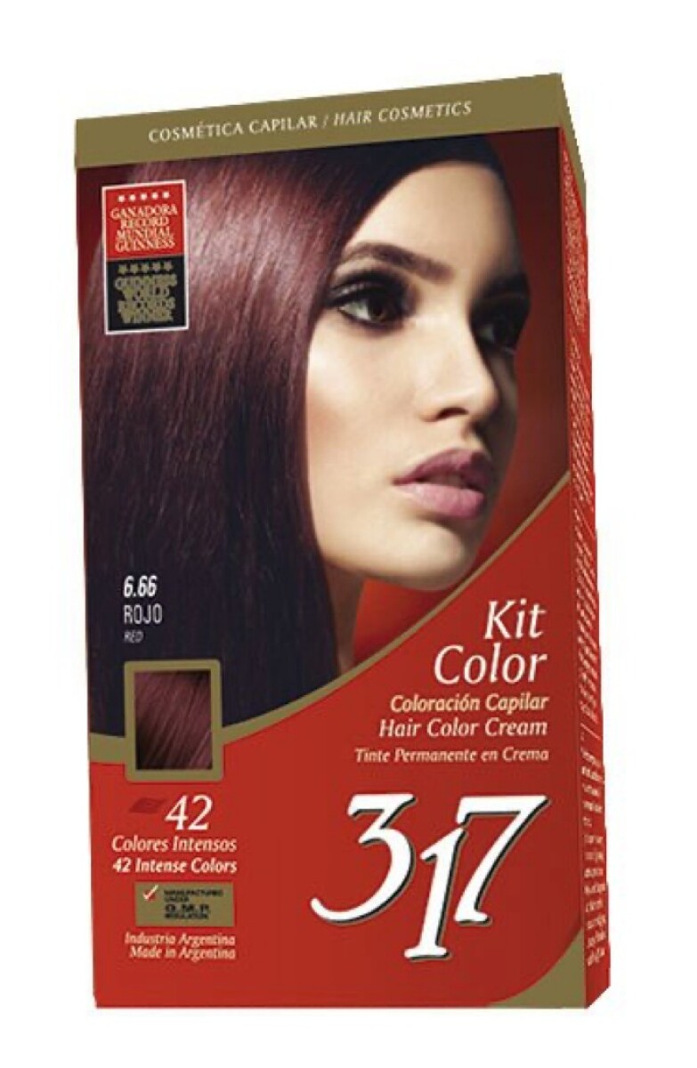 Tinta Kit 317 Varios Colores - Rojo 6,66 