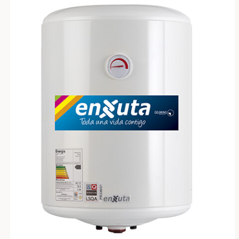 TERMOTANQUE ENXUTA 60 L TENX 2160 ACERO N/A