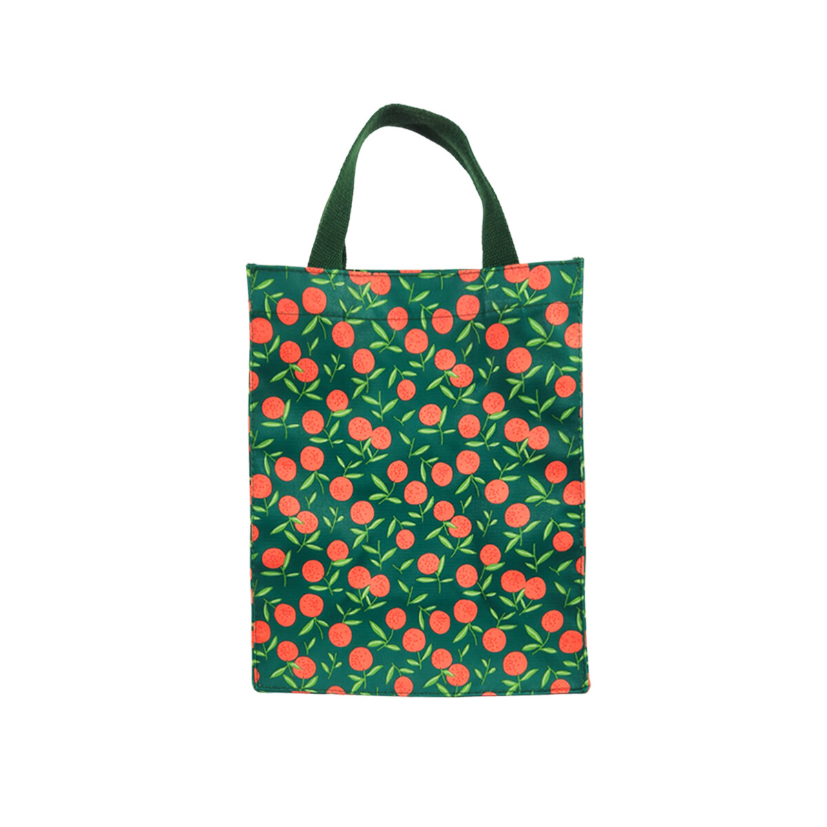 Lunchera con velcro con asa - Verde 