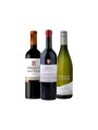 Pack Bacán Selección El origen del carácter - Expresiones unicas x3 vinos Pack Bacán Selección El origen del carácter - Expresiones unicas x3 vinos