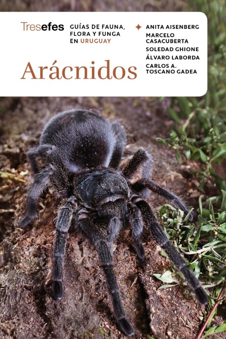 Arácnidos (Venta Anticipada) Arácnidos (Venta Anticipada)