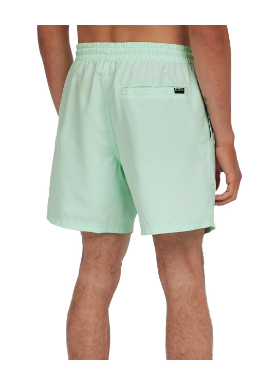 Short O'Neill Swim Trunk Verde