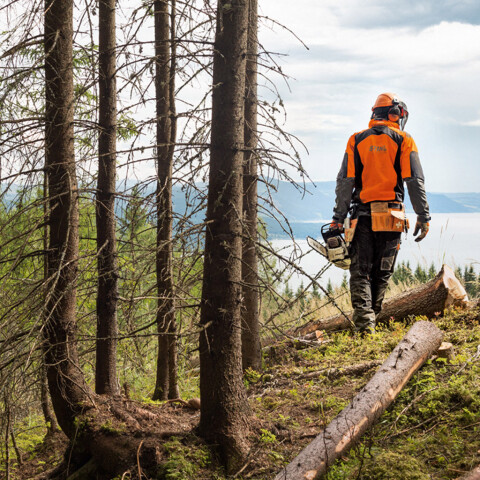 Motosierra Stihl MS-361 4.6 HP Profesional Motosierra Stihl MS-361 4.6 HP Profesional