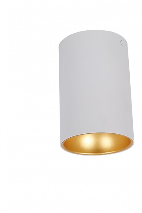 Aplique Para Techo Cromado Interior En Dorado 1 Luz Cromado Blanco-Doradp