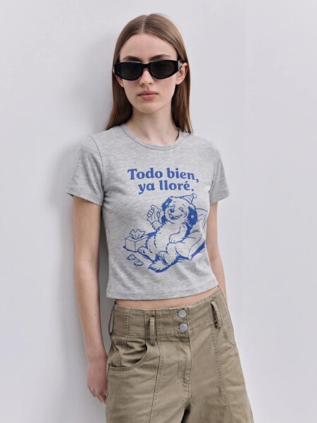 T-SHIRT P.CAKE LLORADERA M.C todo GRIS