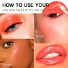 Ushas - Petaca Brillo Labial Cremoso 10 Colores #1 Ushas - Petaca Brillo Labial Cremoso 10 Colores #1