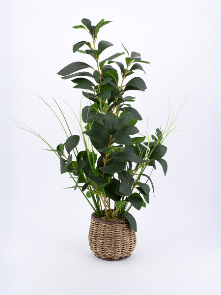 PLANTA CON MACETA VERDE