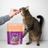 WHISKAS SNACKS SALMON 80 GRAMOS