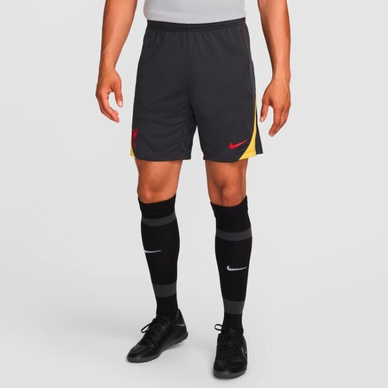 Short Nike FC Liverpool Stirke Third de Hombre Gris