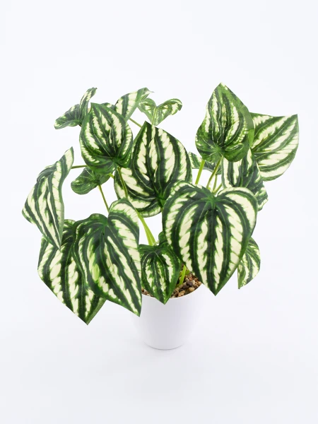 PLANTA CON MACETA VERDE