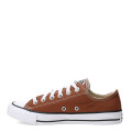 Championes Unisex Converse Ctas Ox Chuck Taylor All Star Marrón - Blanco