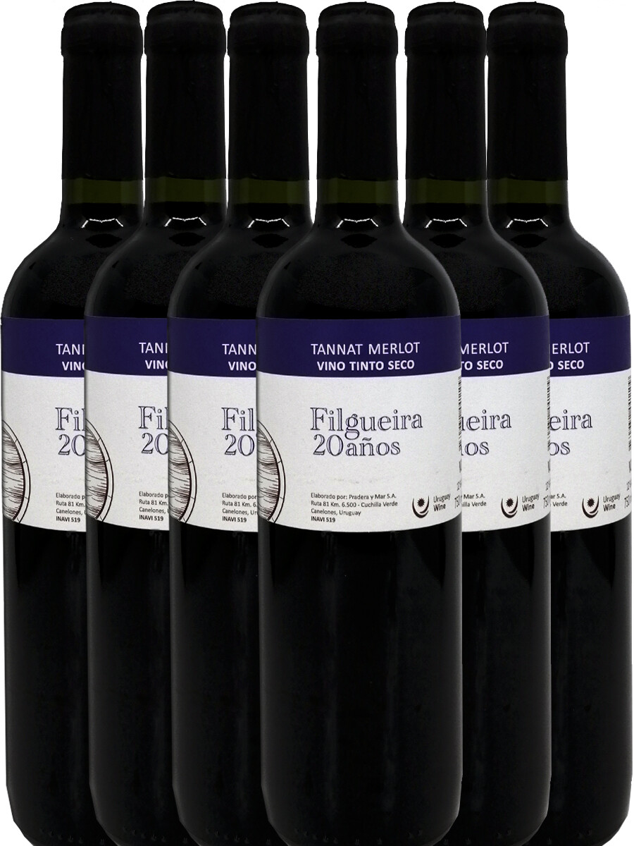 Pack Filgueira 20 años Tannat-Merlot 