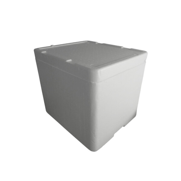 HELADERA ESPUMA 54X49X38.5 - 67 LTS. BLANCO