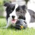 Pelota Perro Dispensadora Alimento Con Sonido Juguete Maciza Color Variante Negro