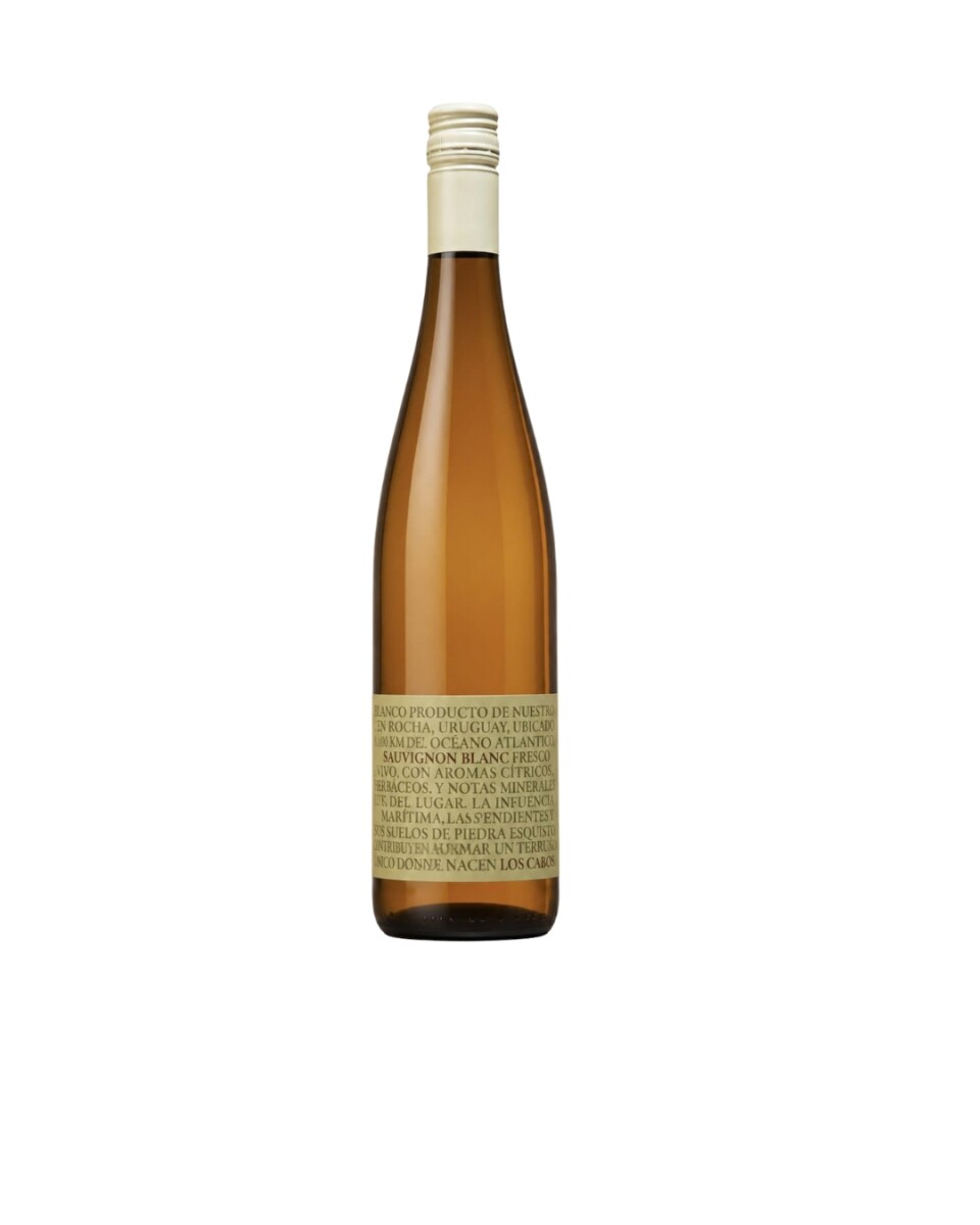 Becasina Los Cabos Sauvignon Blanc 