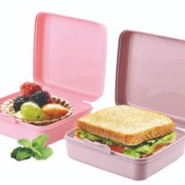 RECIPIENTE VIANDA BONITO SURTIDO RECIPIENTE VIANDA BONITO SURTIDO