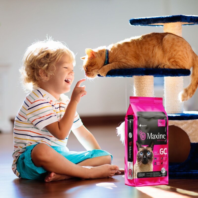 MAXINE GATOS CASTRADOS 3 KG