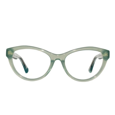 10307 Receta Verde