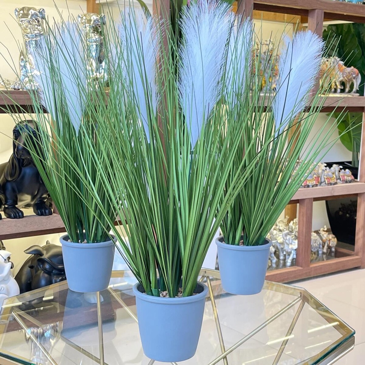 Planta Cieza Artificial Maceta Cerámica Alto 50cm 