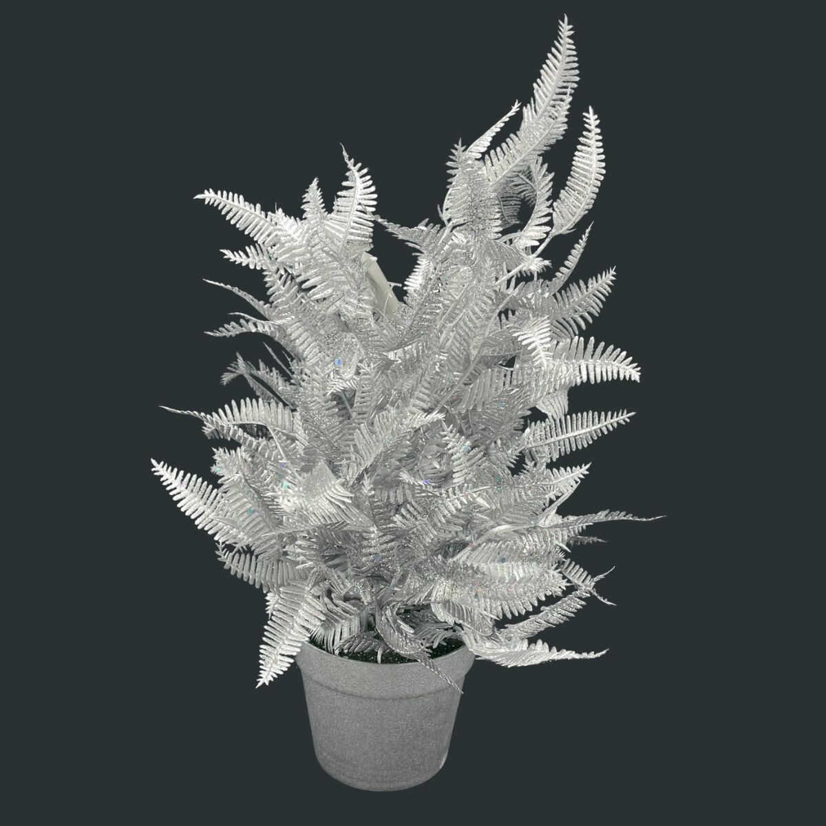 Maceta de Helecho - Plateada 