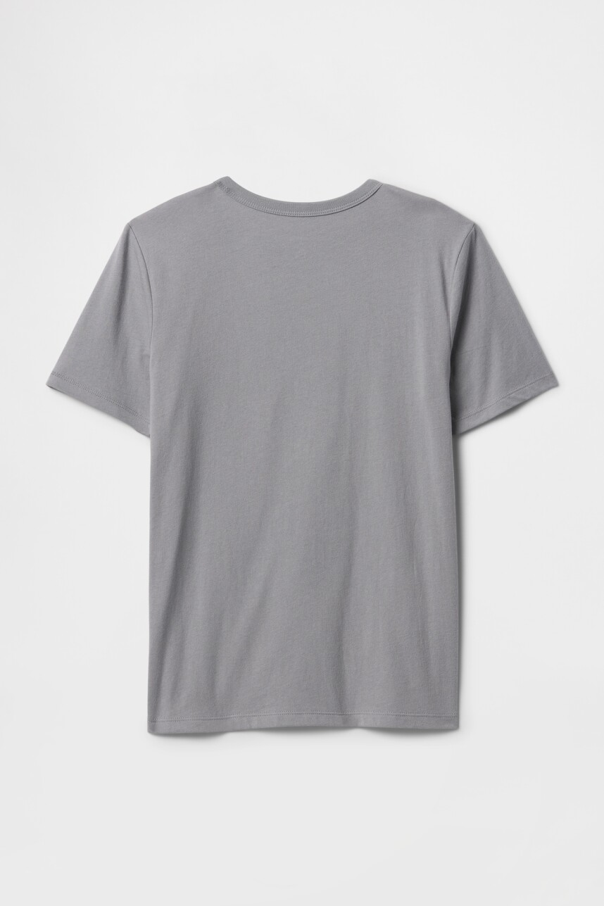 Remera Gráfico Niño Pilot Grey