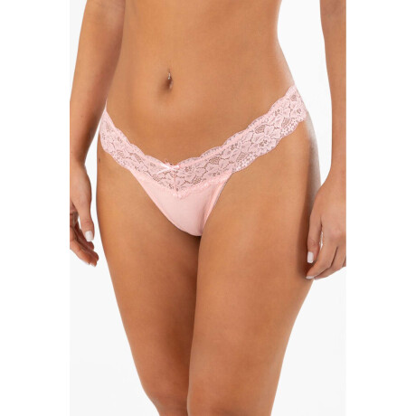 Colaless royal cotton Rosewood