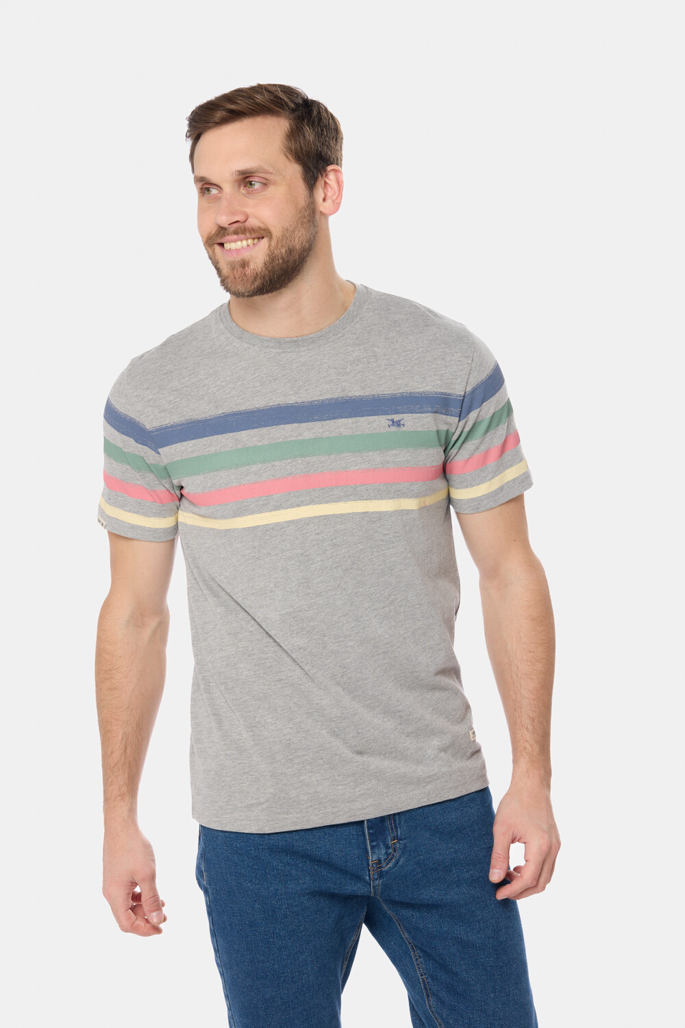 REMERA RAYADA Gris