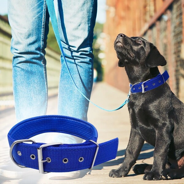 Collar Ajustable Reforzado Hebilla Nylon Perro Gato Mediano Variante Color Azul