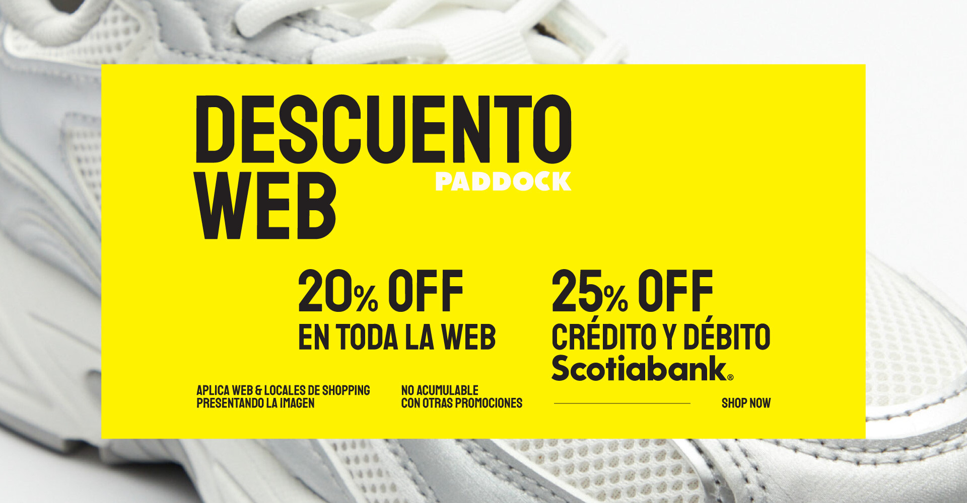 PDK Dto Web