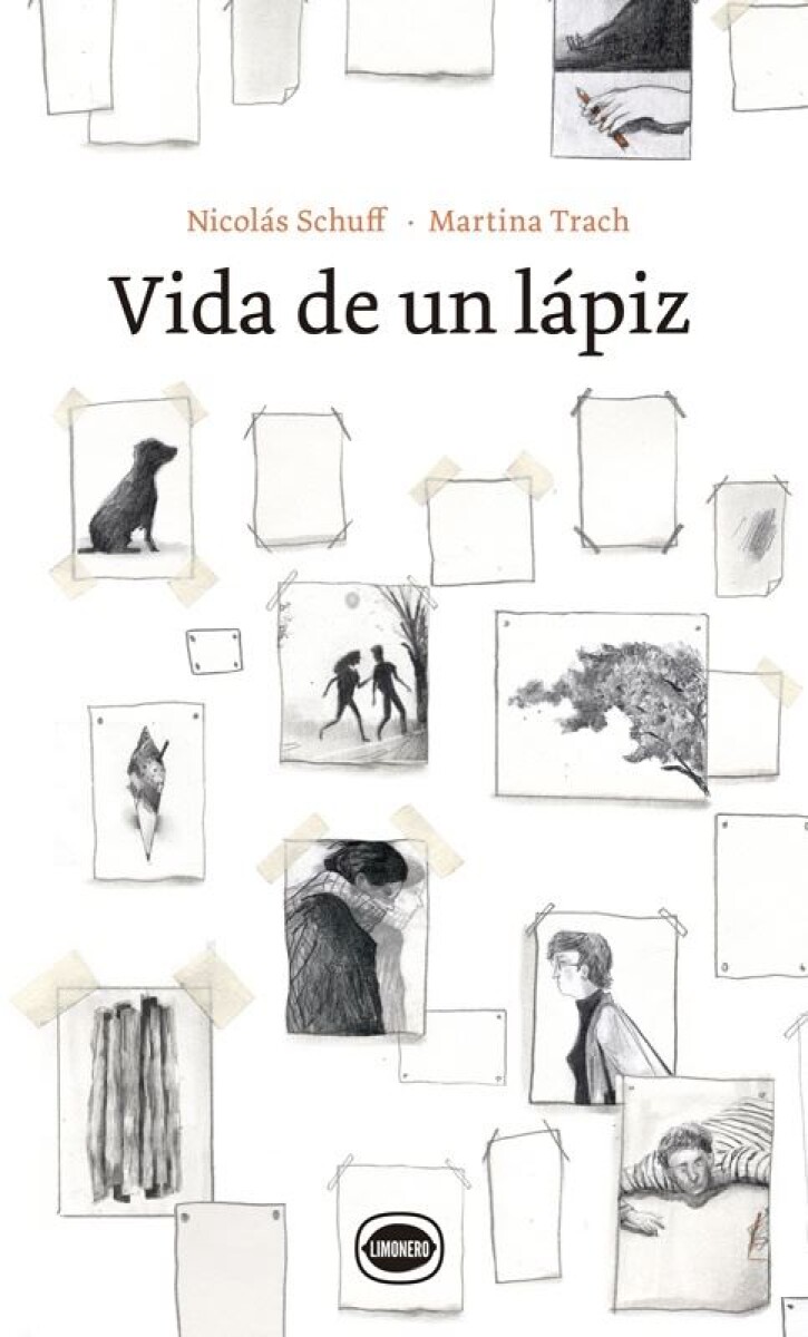 Vida De Un Lápiz 