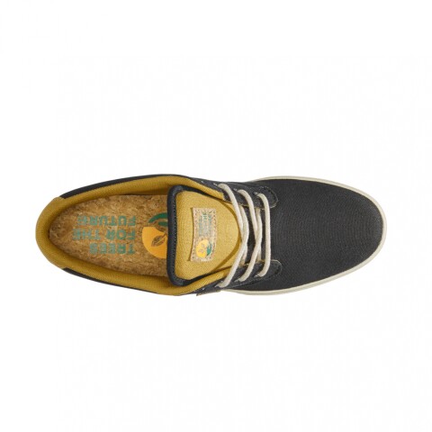 ETNIES JAMESON 2 ECO X TFTF Black & Gold