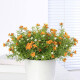 Ramo de Flores Naranja