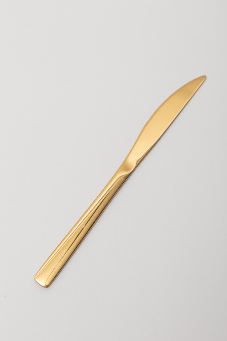 Cuchillo Asher Set 4 Un. Dorado Brillante Color Unico