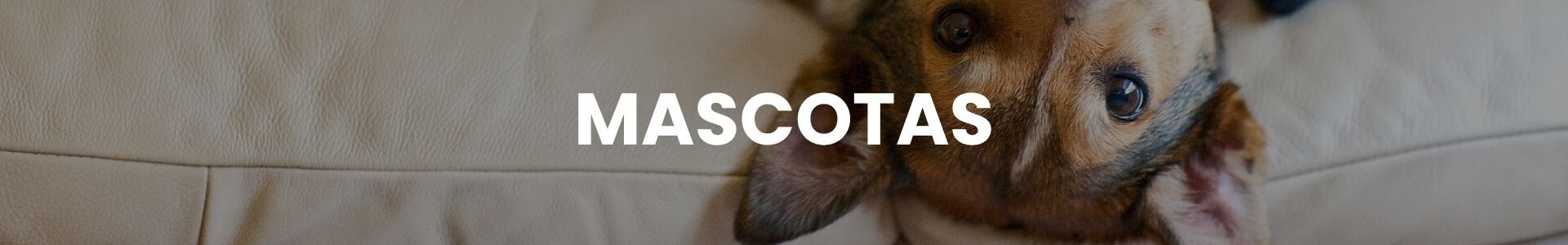 Mascotas
