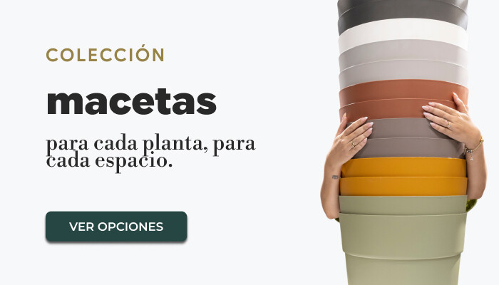 MACETAS