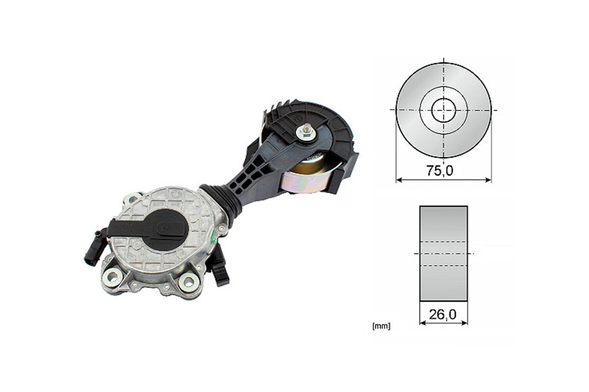 Tensor De La Bomba Agua BMW 316I (F30)/120I (F20)/118I (F21)/114I (F21)/116I (F20)/118I (F20)/320I (F30) Citroen C3 Picasso/C3 Tensor De La Bomba Agua BMW 316I (F30)/120I (F20)/118I (F21)/114I (F21)/116I (F20)/118I (F20)/320I (F30) Citroen C3 Picasso/C3