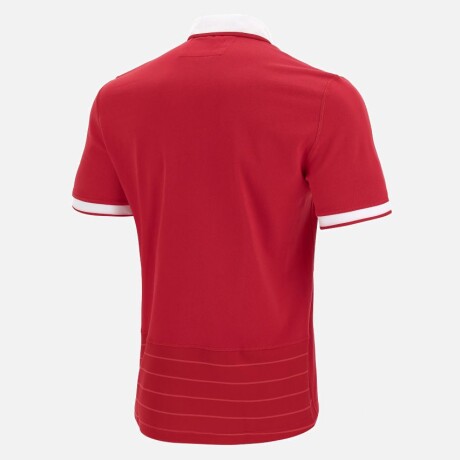 REMERA DE ALGODÓN WALES RUGBY REMERA DE ALGODÓN WALES RUGBY
