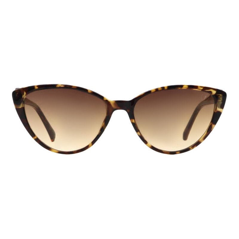 Lentes de Sol Chilli Beans Harry Potter Animal Print