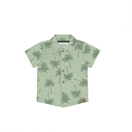 CAMISA VERDE