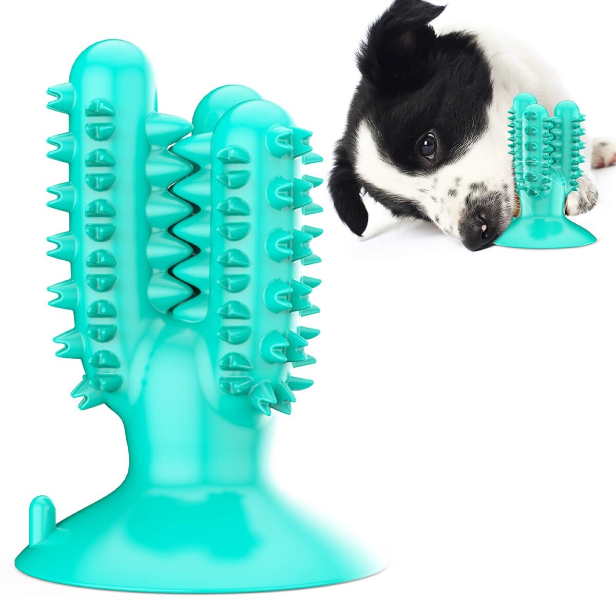 Juguete Dental Cactus Perro Higiene C/ Ventosa Limpia Sarro - Color Variante Verde Agua 