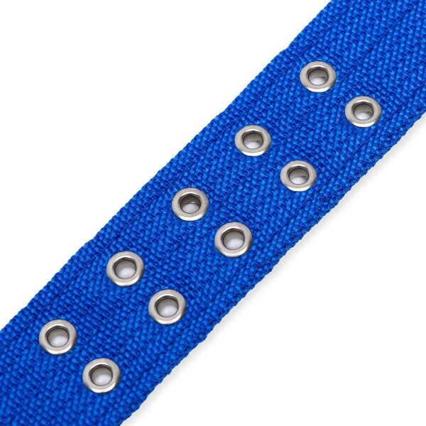 Collar Hebilla Nylon Perros Raza Grande 65 cm Ajustable Variante Color Azul