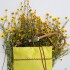 Jewel Envelope Bag Pistacho