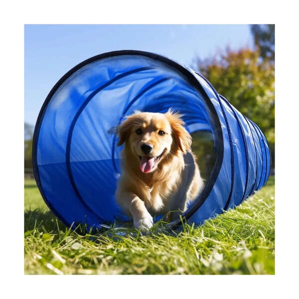 Tunel Gigante Perro Gato Mascota Redondo Tubo Interactivo Variante Color Azul