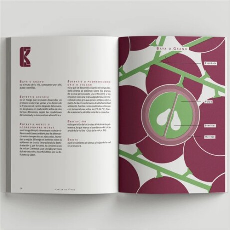 Libro Hablar de vinos Sc