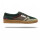 Morrison Nineties Evergreen