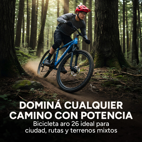 Bicicleta Phdrix Montaña Mtb Rod 26 Frenos De Disco 21 Veloc Celeste 1