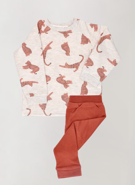 Conjunto de bebé recién nacido Flamingo