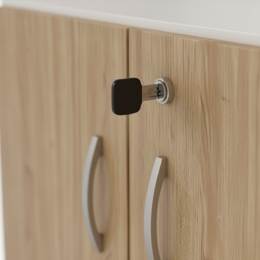 BIBLIOTECA CORPORATIVA 2 PUERTAS ESTANTERÍA ORGANIZADOR CON LLAVE BIBLIOTECA CORPORATIVA 2 PUERTAS ESTANTERÍA ORGANIZADOR CON LLAVE